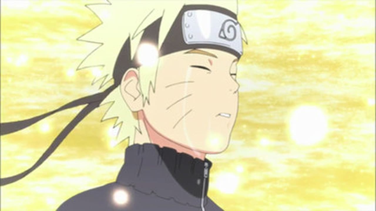 Naruto Shippūden - Season 12 Episode 249 : Thank You