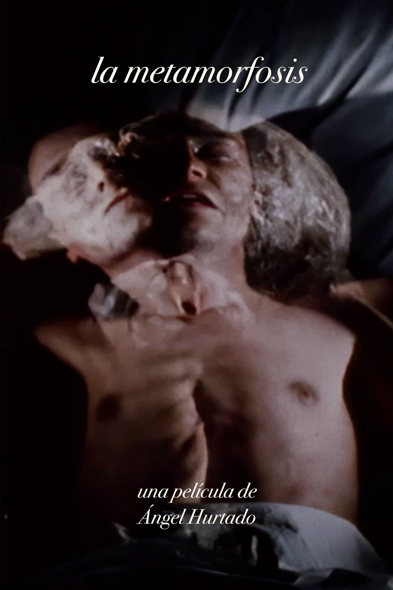 La metamorfosis Backdrop