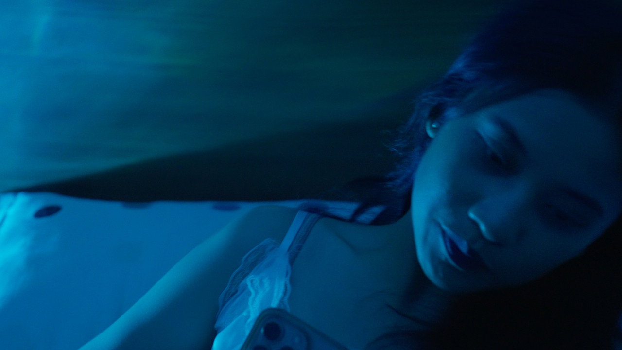 Allegory of A Woman still 4