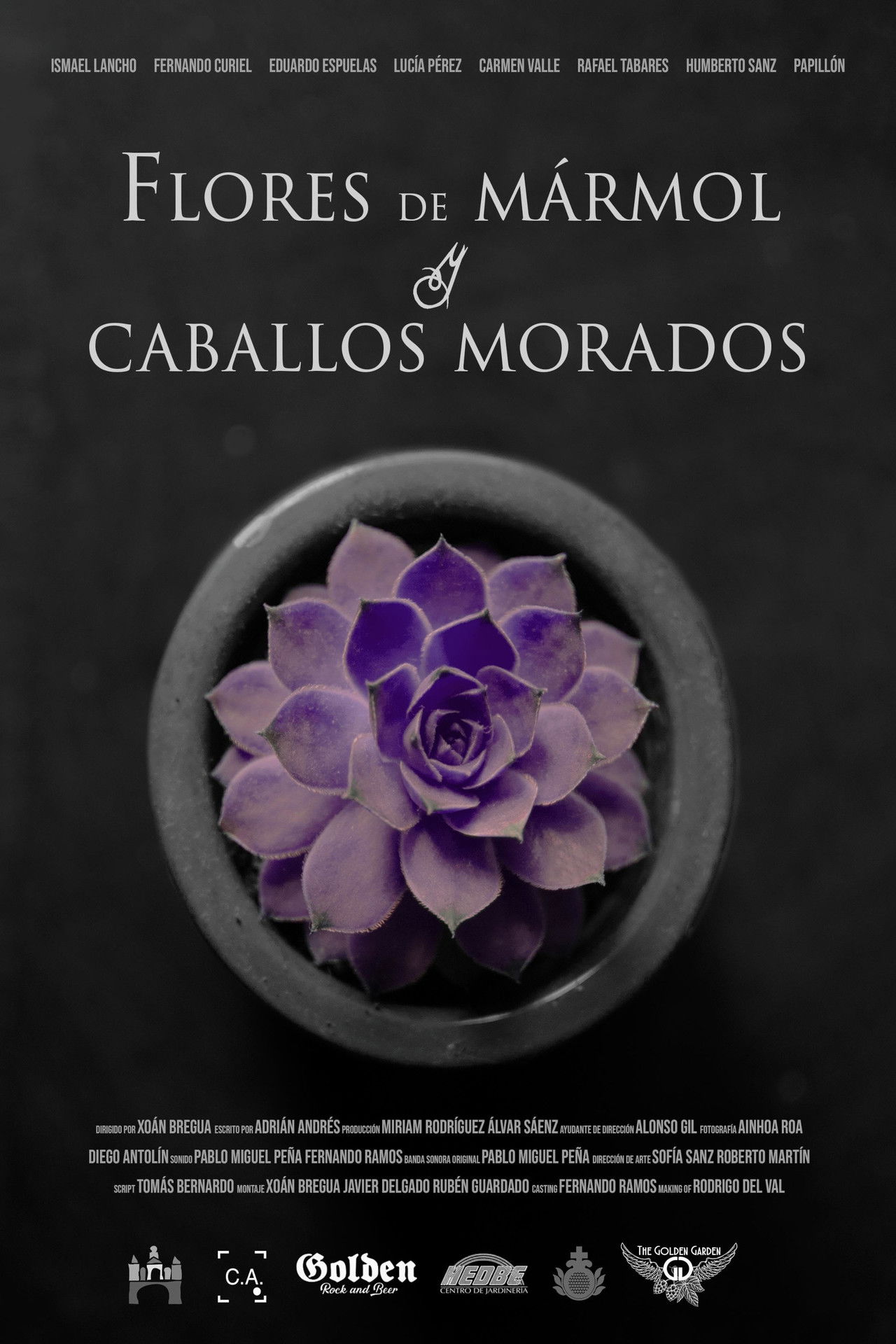 Flores de m&aacute;rmol y caballos morados 2020