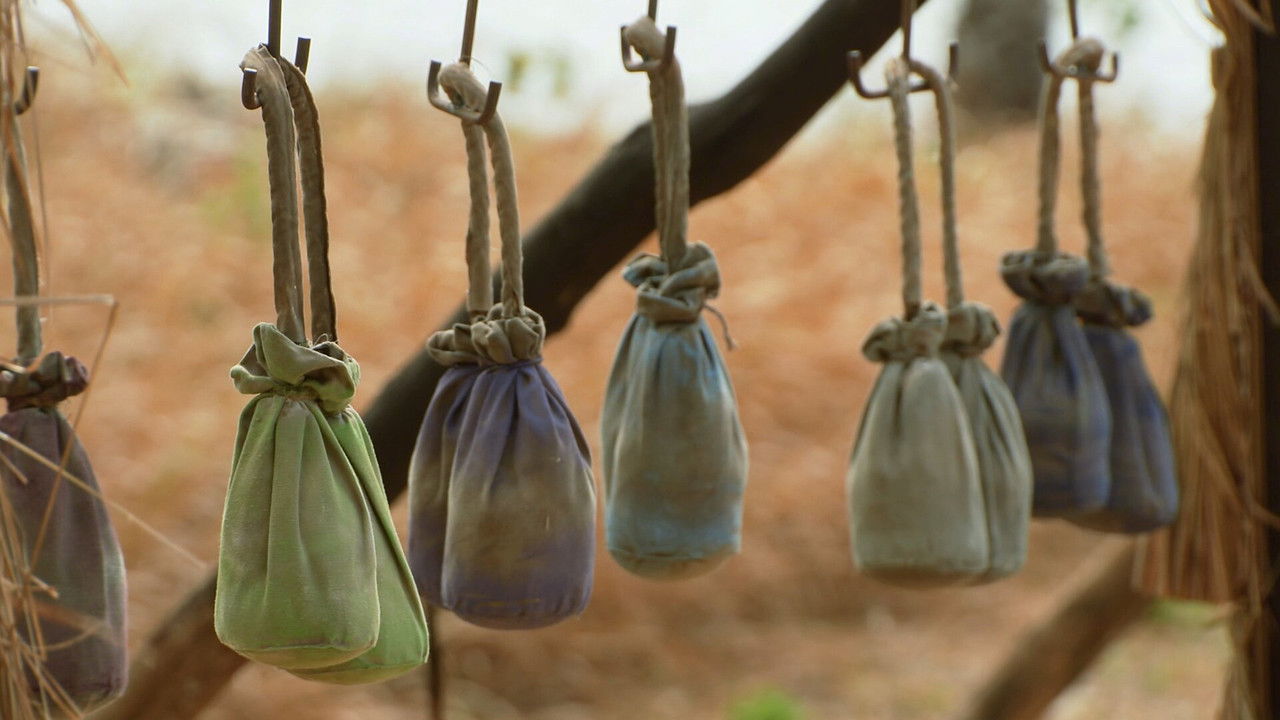 Robinson - Season 26 Episode 34 : Episode 34