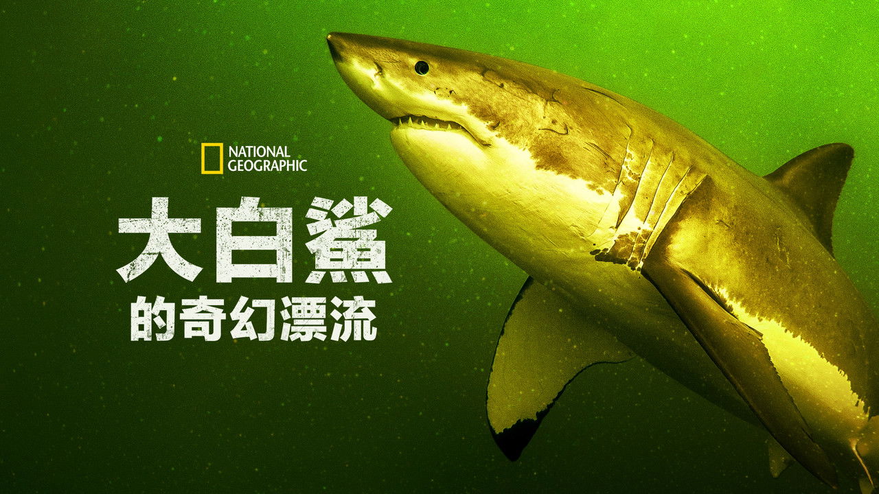 Return of the White Shark backdrop