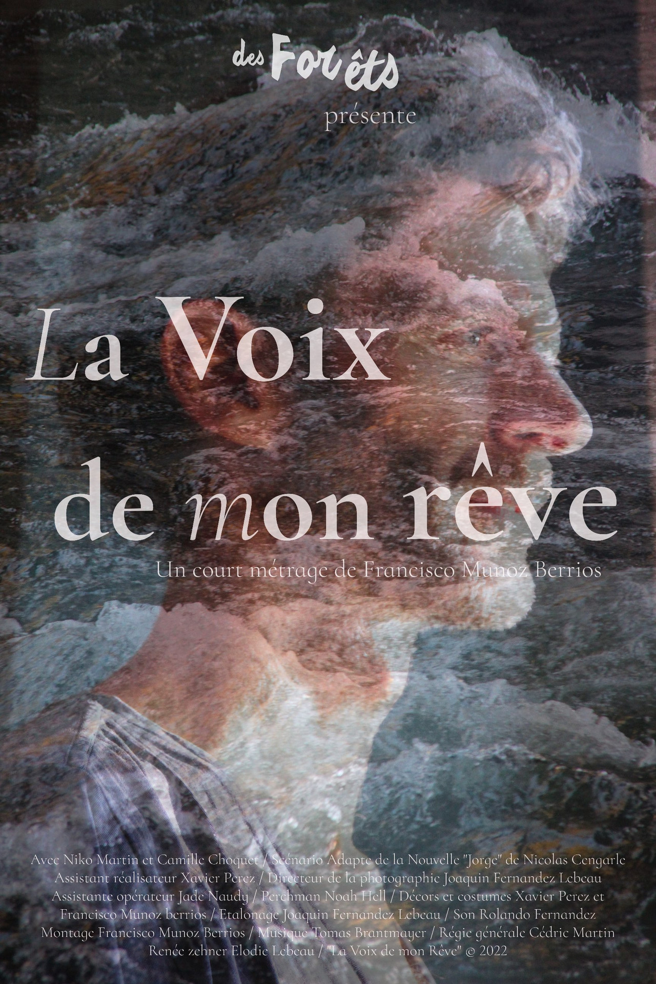 La voix de mon rêve filmaffisch