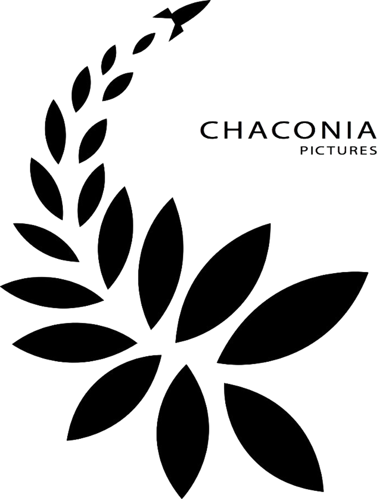 Chaconia Pictures