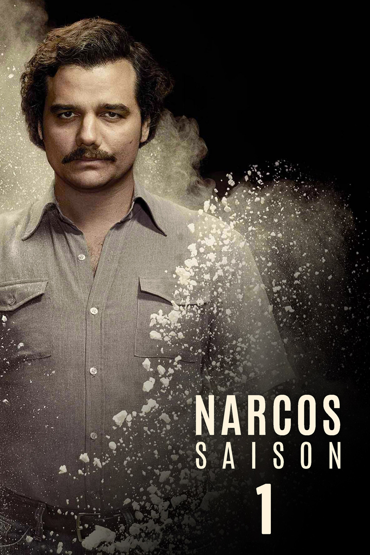Narcos (2015) Hindi Season 1 Complete backdrop