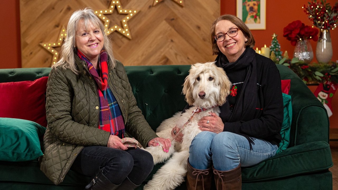 The Dog House - Season 0 Episode 5 : Christmas Special 2024