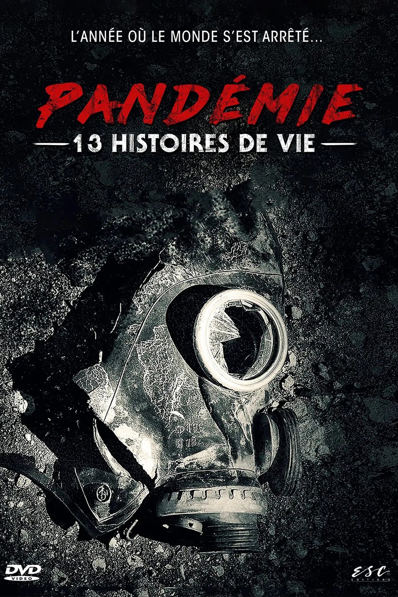 Pandémie : 13 histoires de vie poster