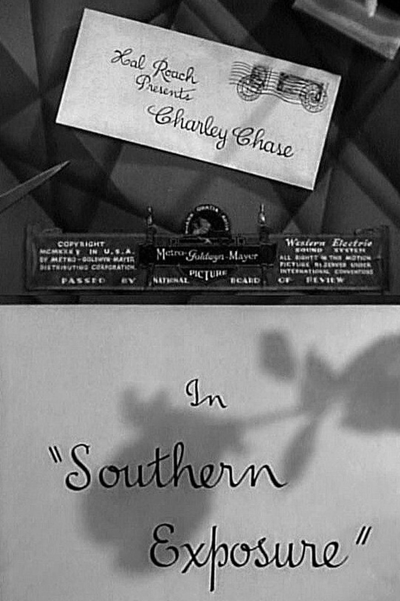 Southern Exposure Backdrop