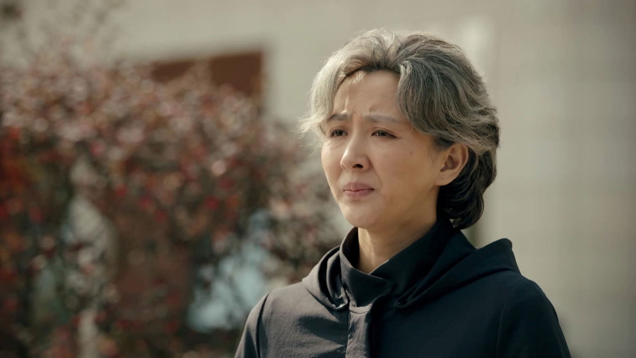 逐梦蓝天 — Épisode 35