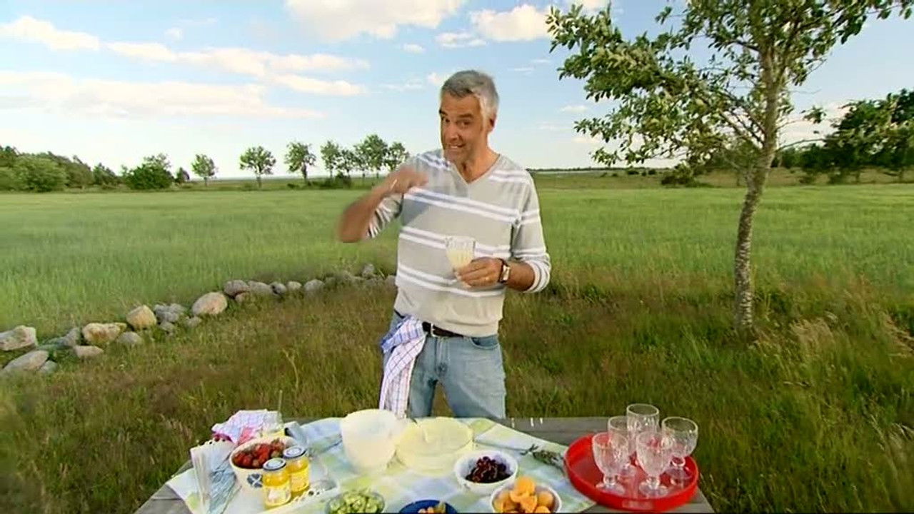 Sommar med Ernst — Épisode 4