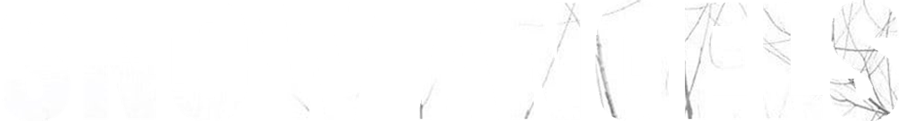 Снежные ангелы