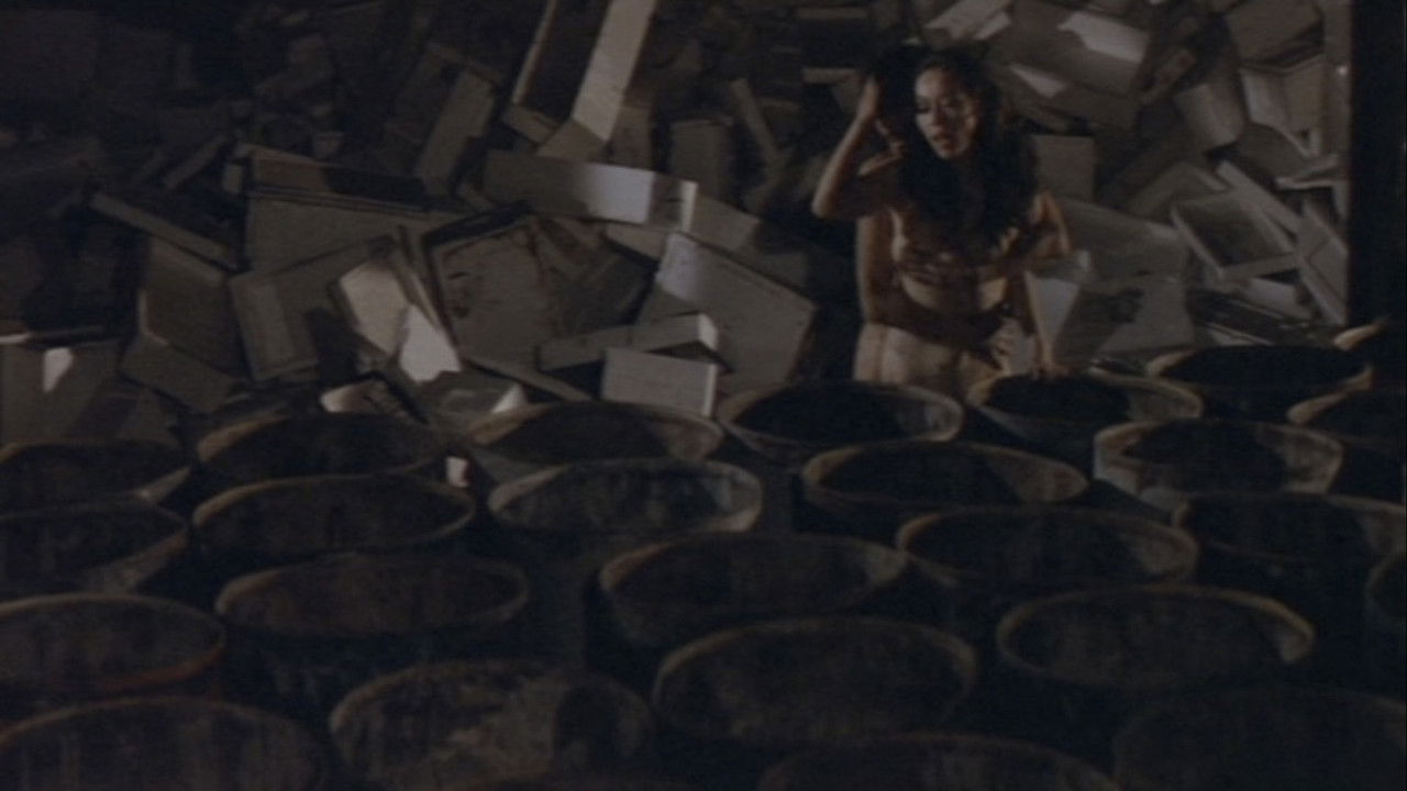 Zoom Up: The Beaver Book Girl backdrop