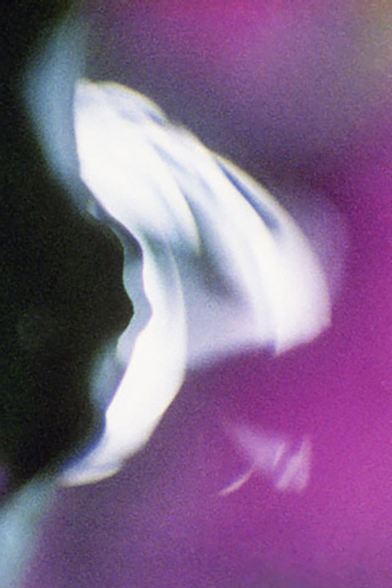 Voluptuous Sleep filmaffisch