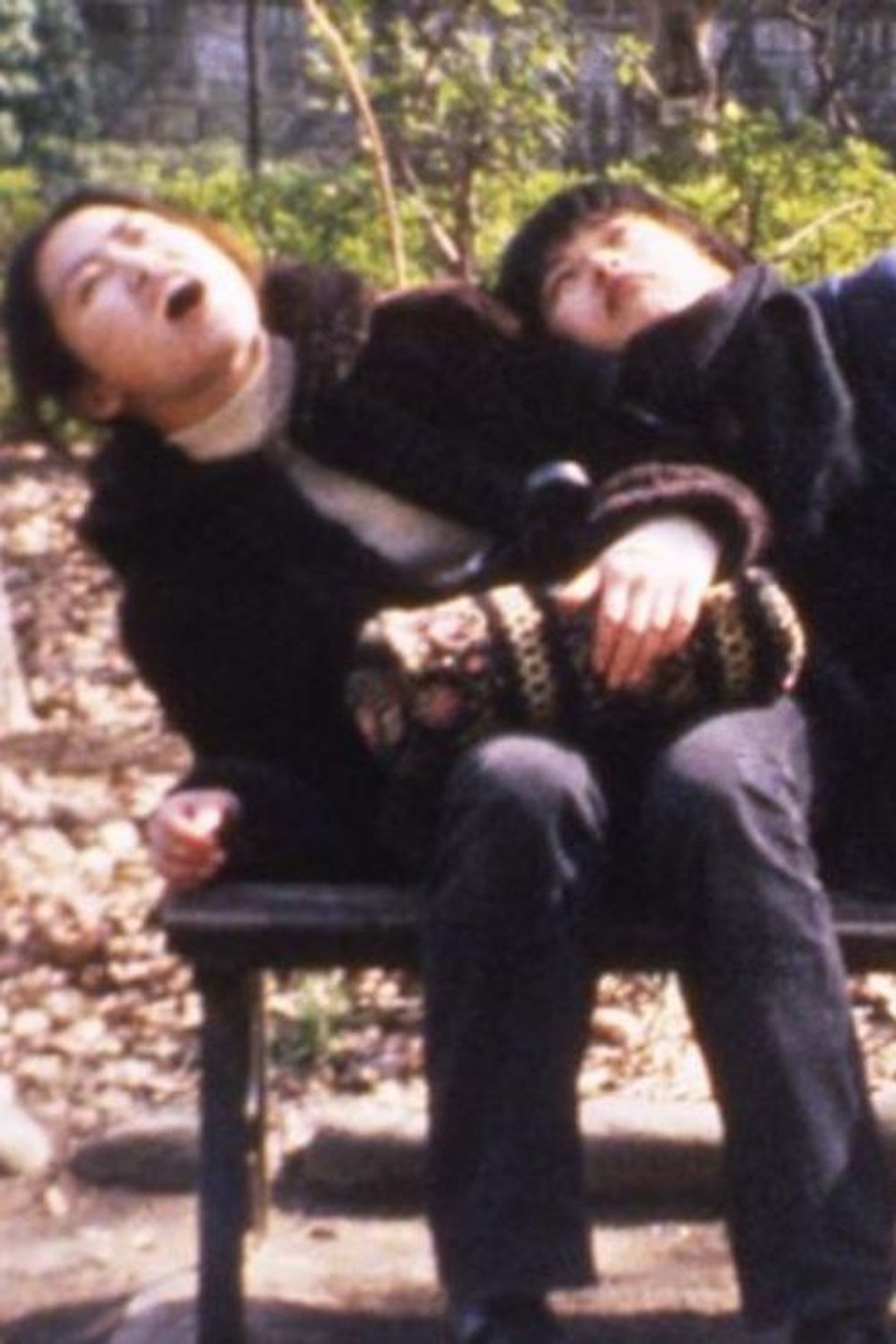 ウワバミの絵 Backdrop