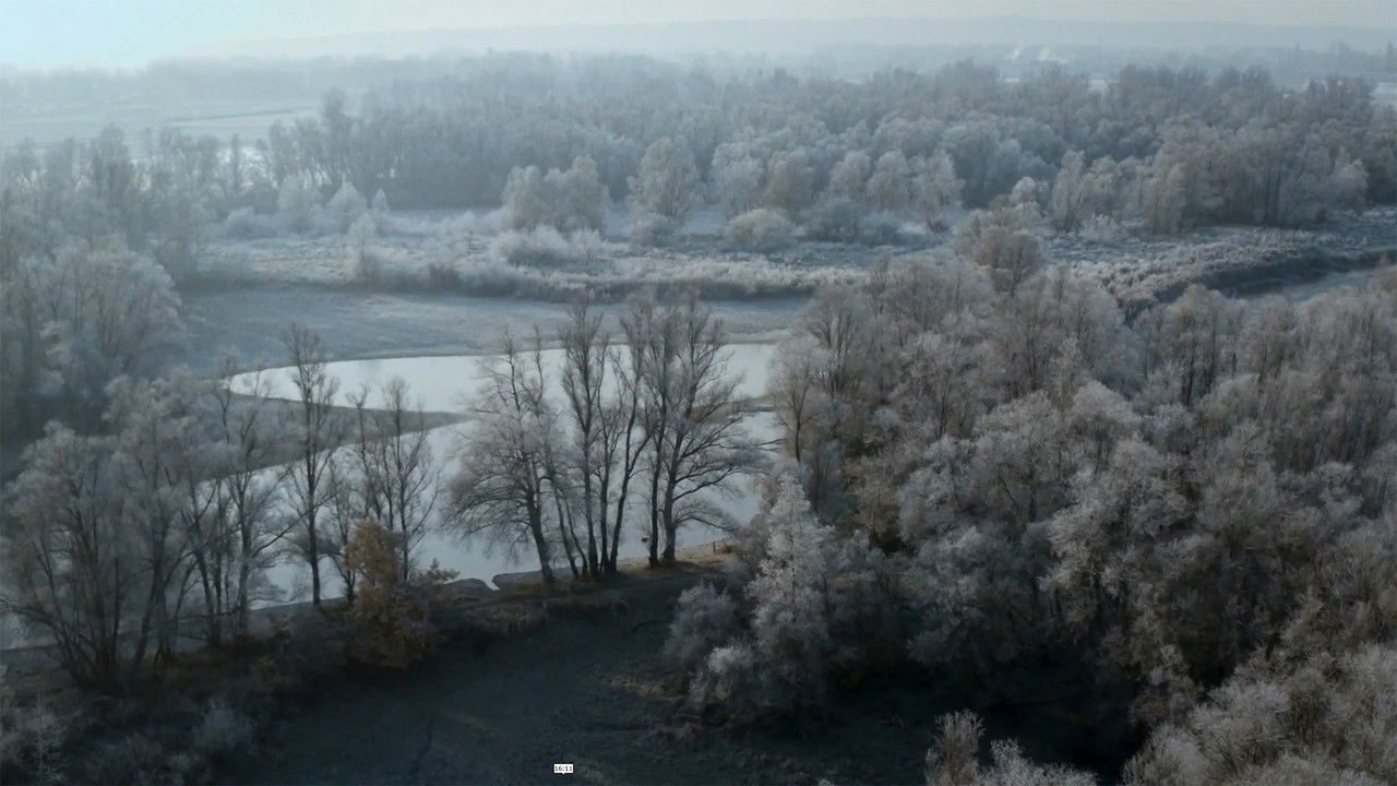 De Seizoenen — Épisode 4