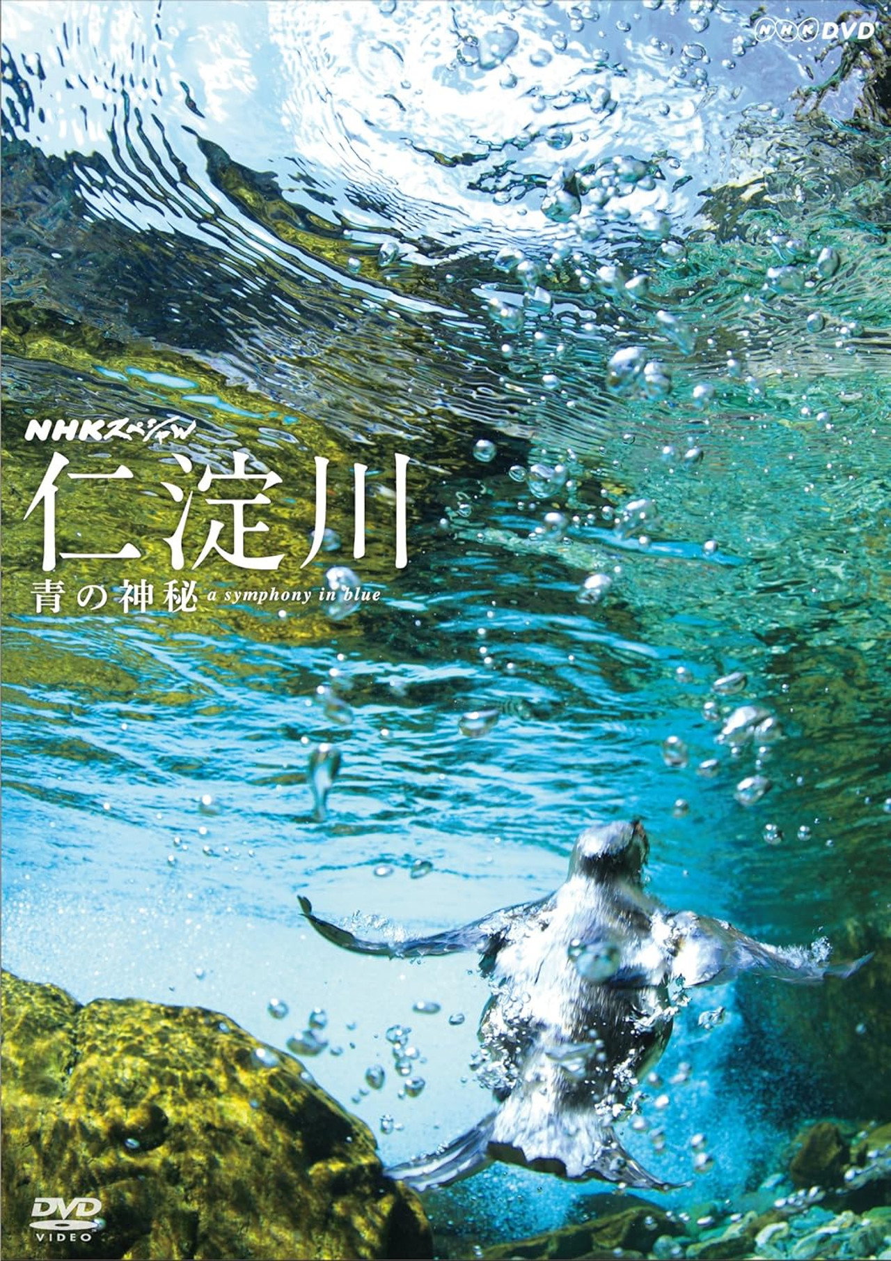 The Niyodo River: A Symphony in Blue