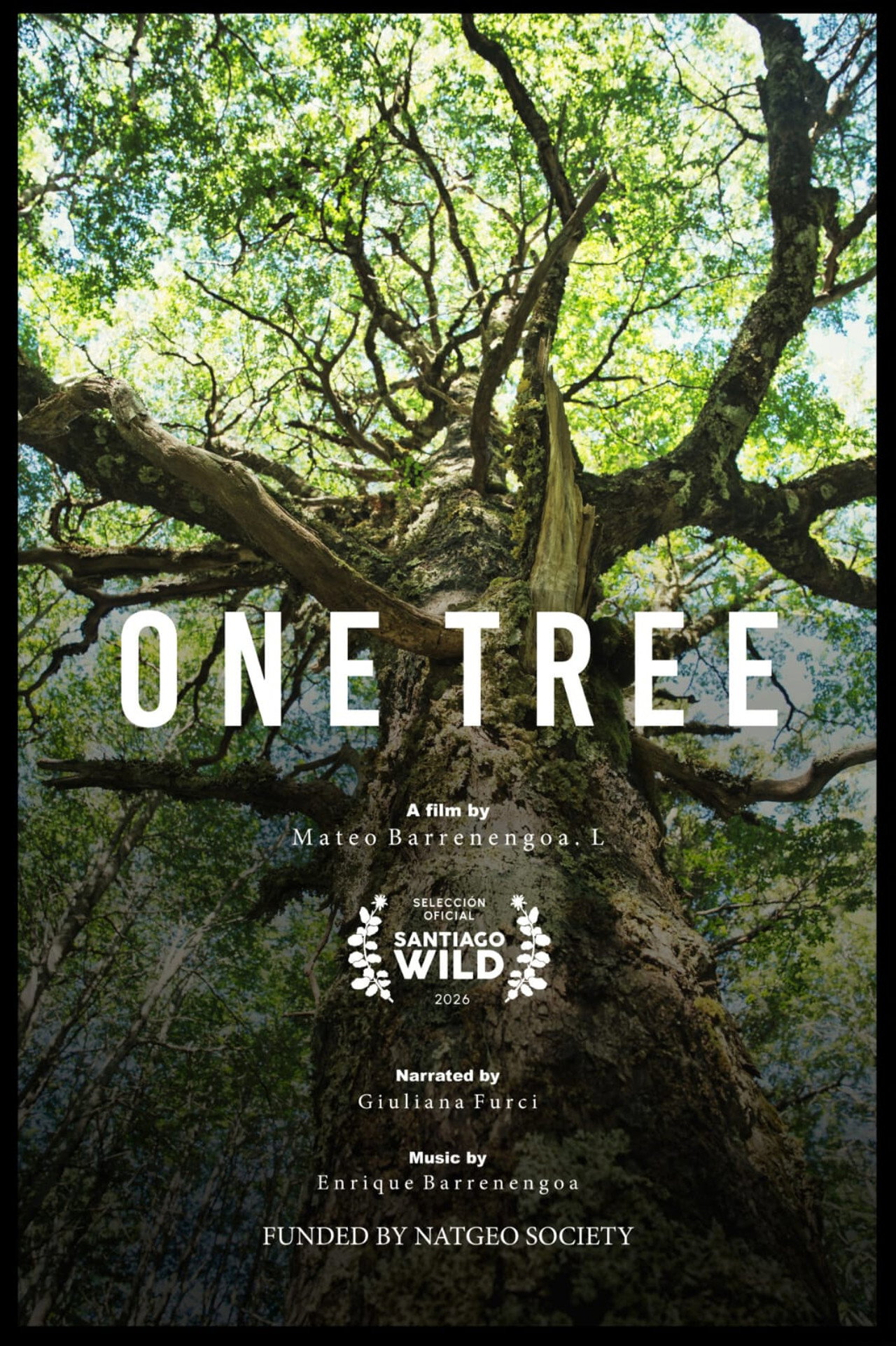 Un Árbol Backdrop