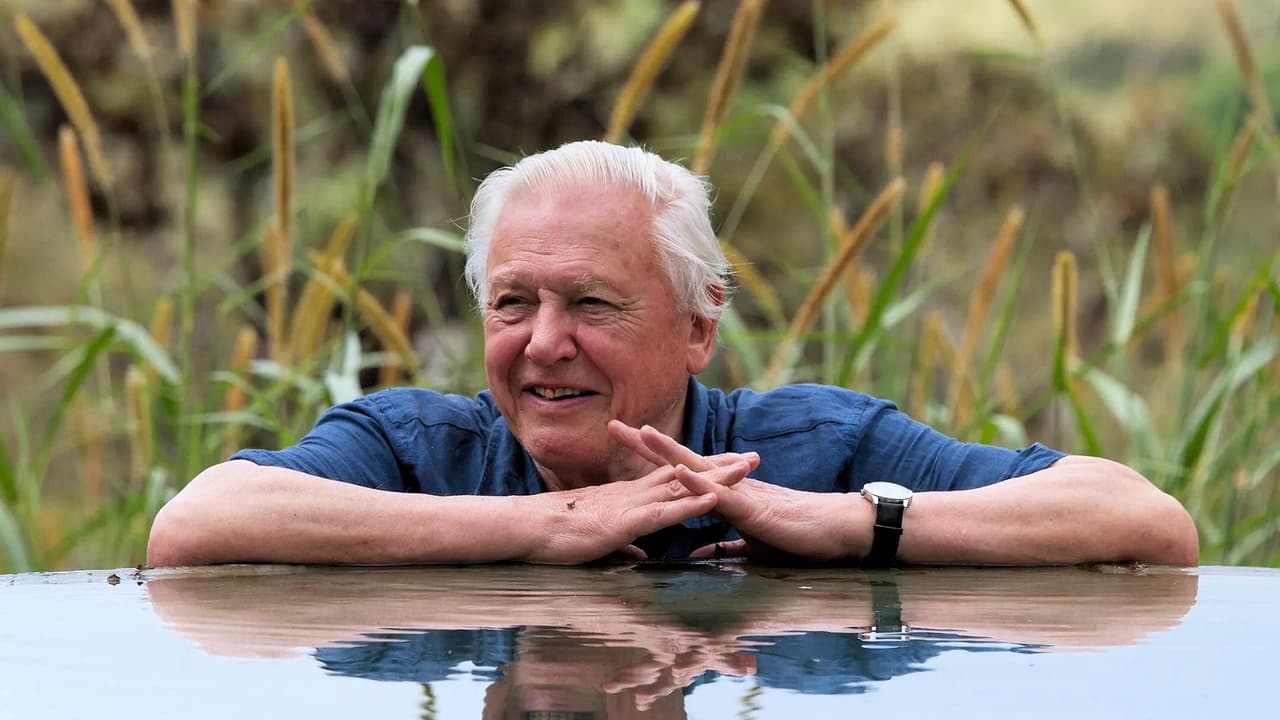 David Attenborough's Global Adventure background