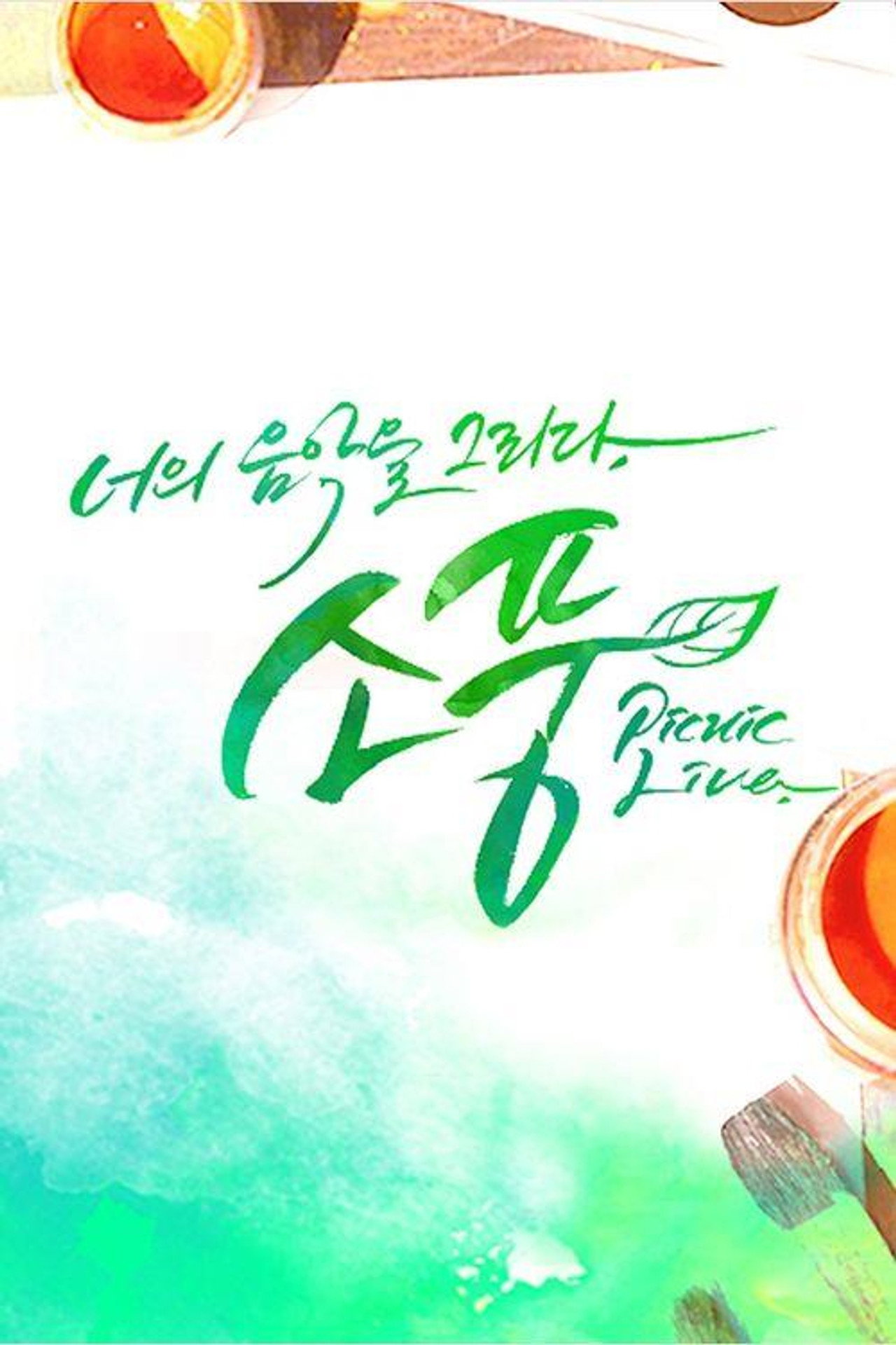 피크닉 라이브 소풍 poster