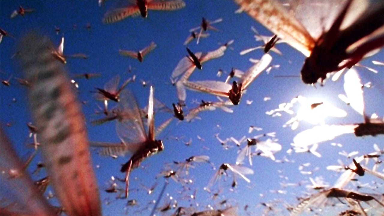 Nature - Season 32 Episode 12 : The Gathering Swarms