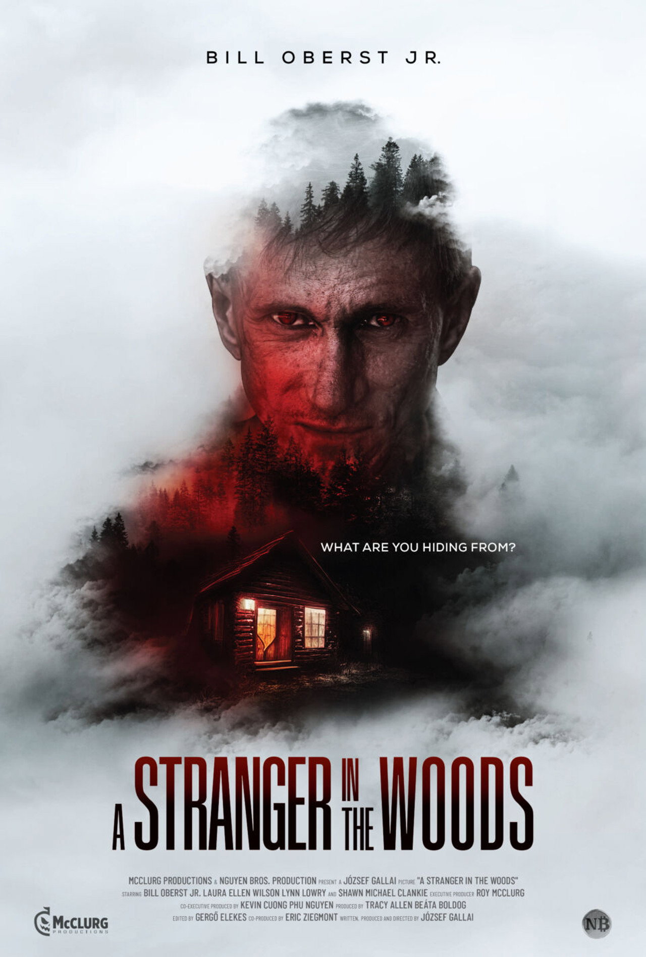 A Stranger in the Woods – plakát 3
