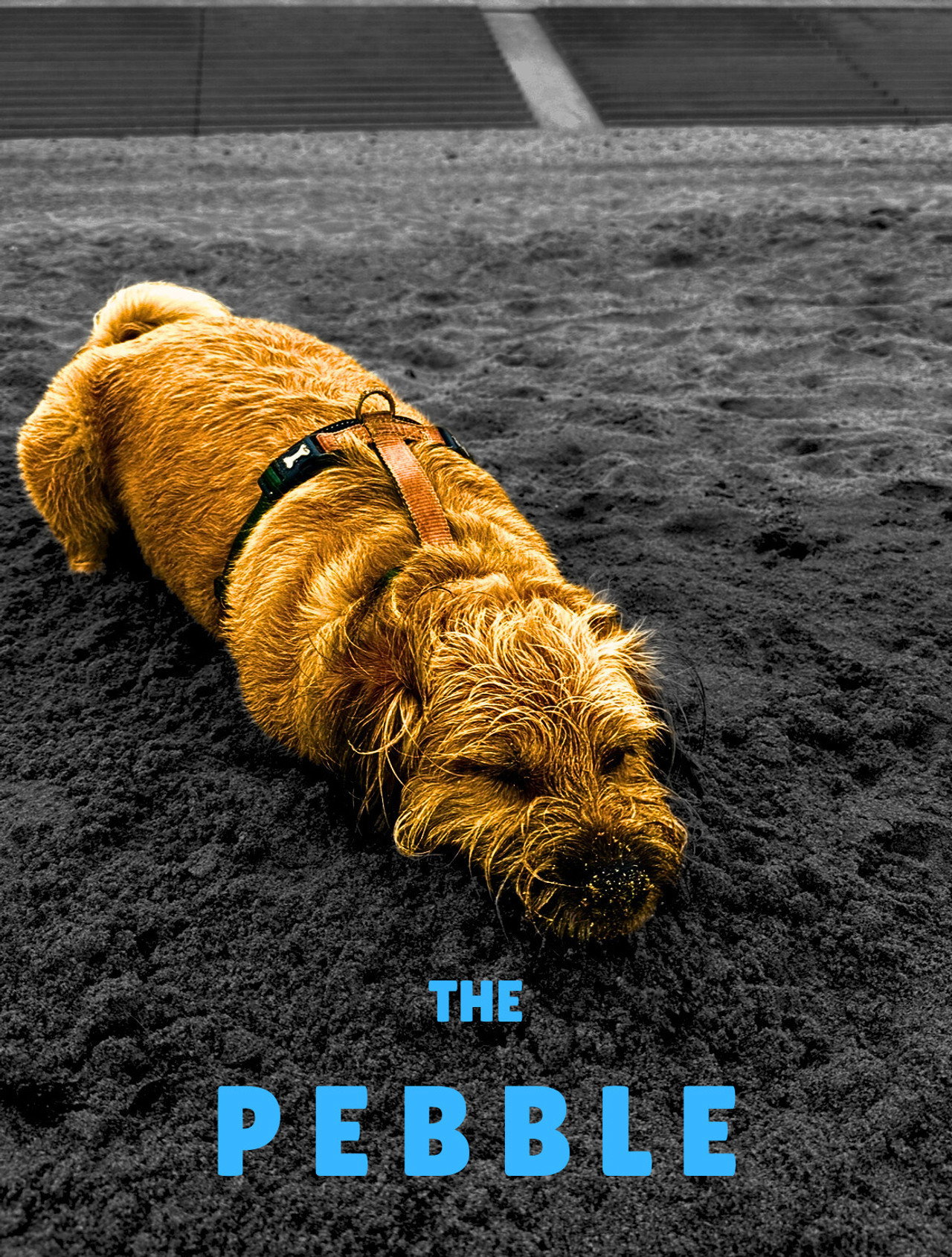 The Pebble filmaffisch