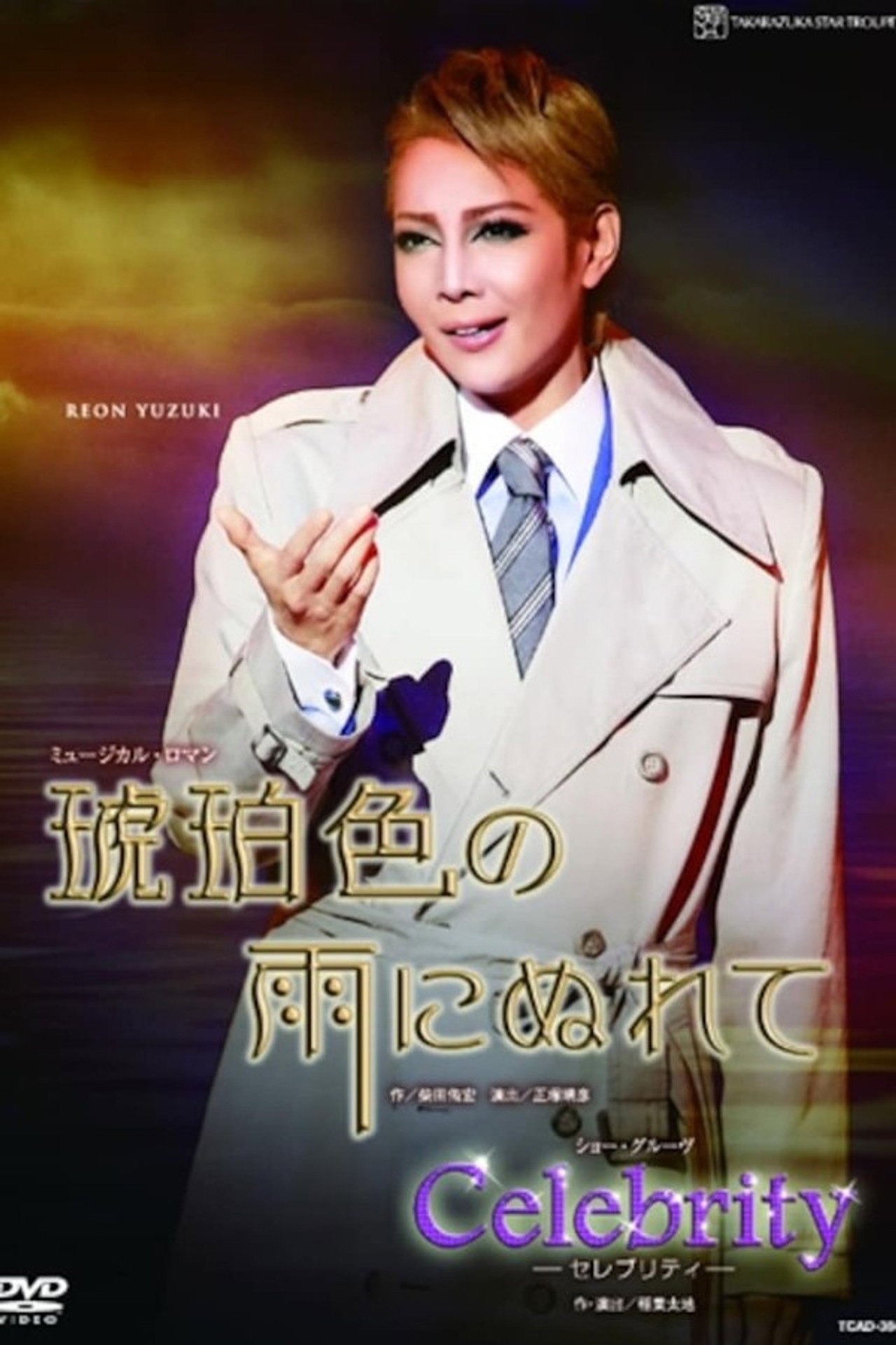 琥珀色の雨にぬれて filmaffisch