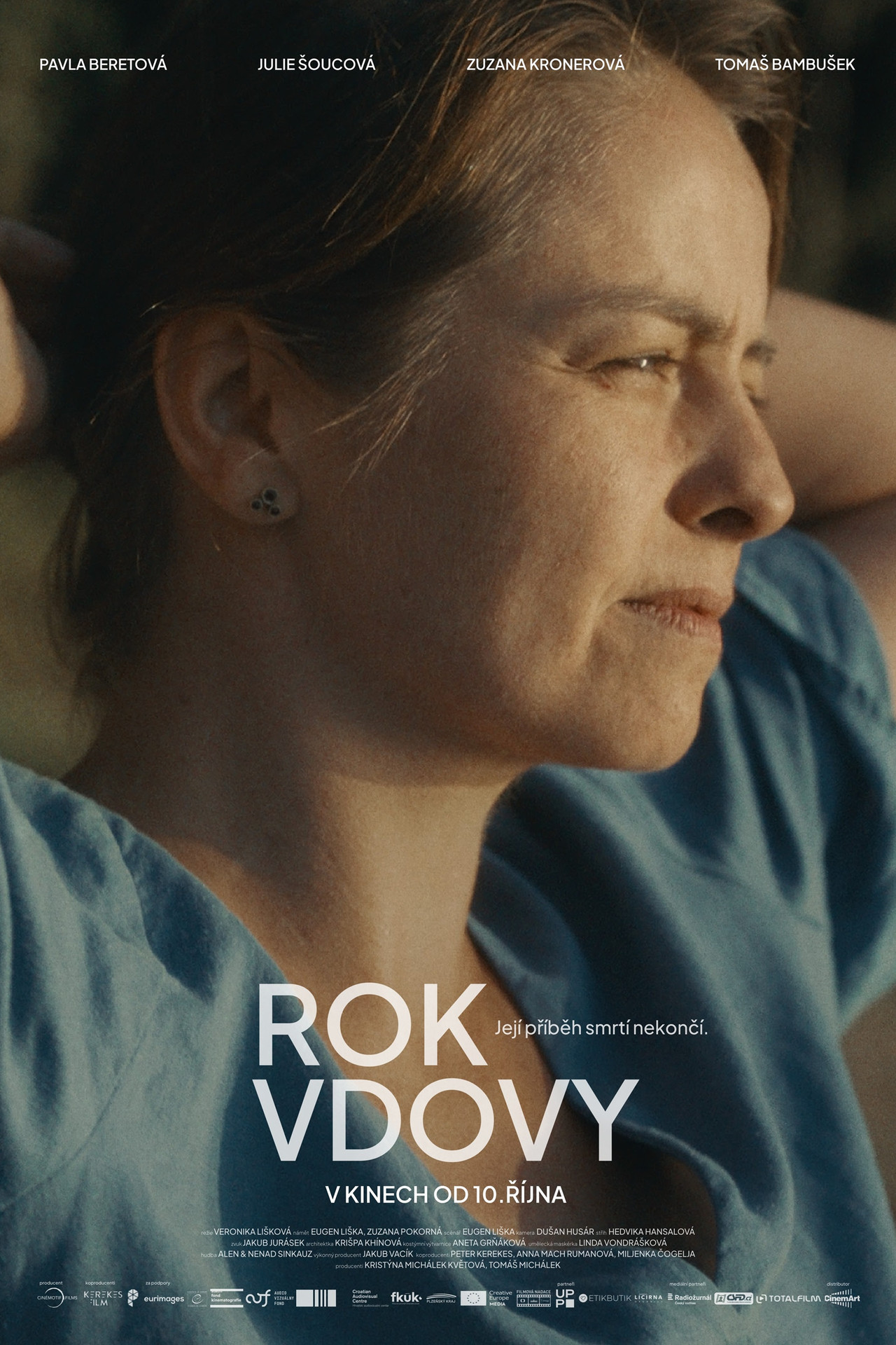Rok vdovy filmaffisch
