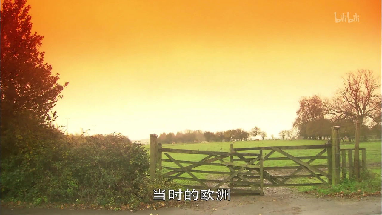 世界历史 — Épisode 24