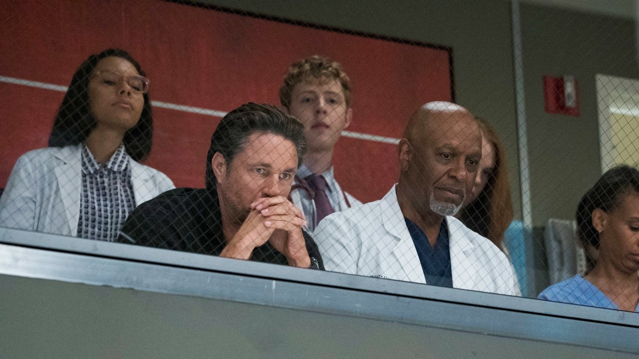 Grey's Anatomy - Season 14 Episode 1 : Break Down the House