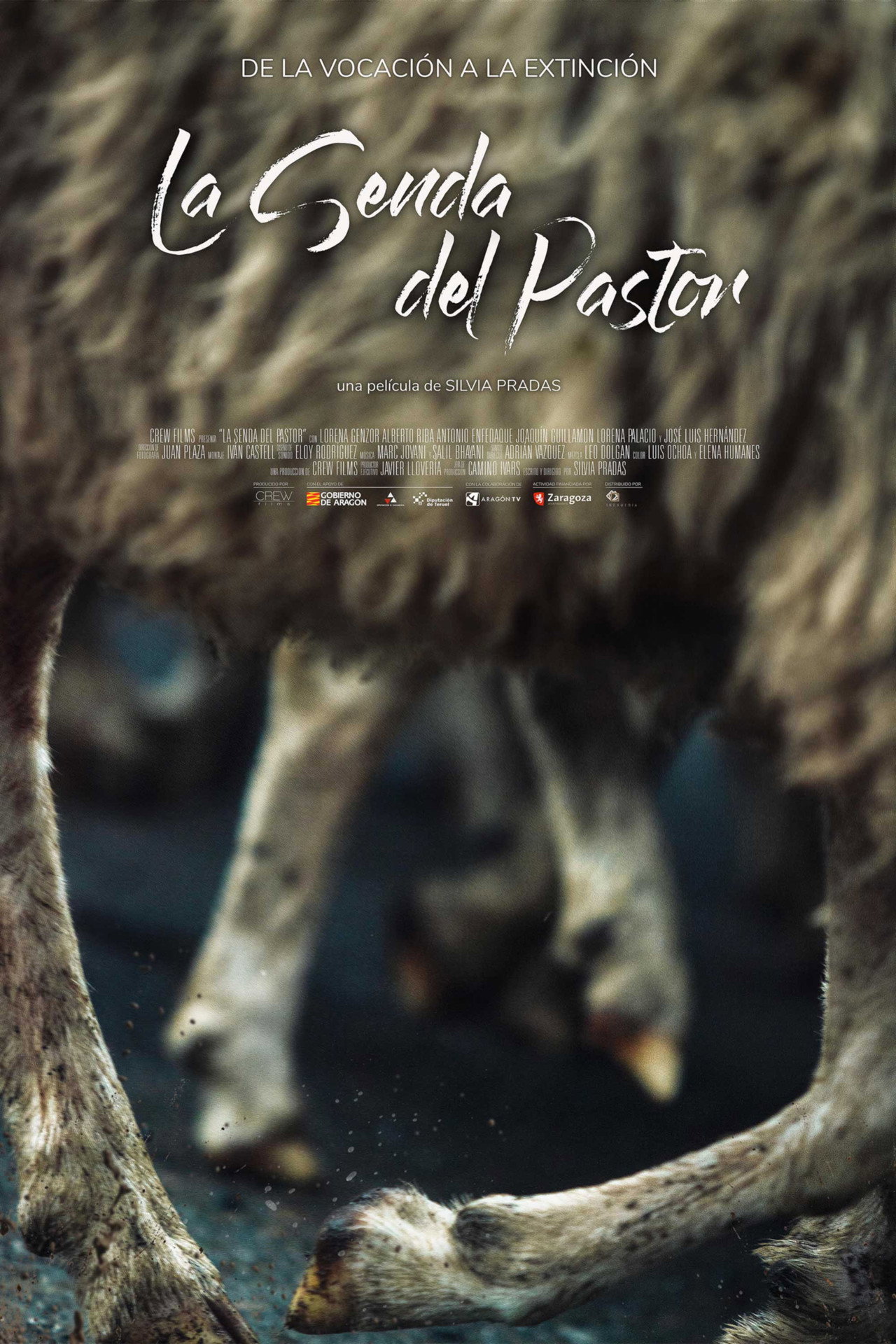 La Senda del Pastor filmaffisch