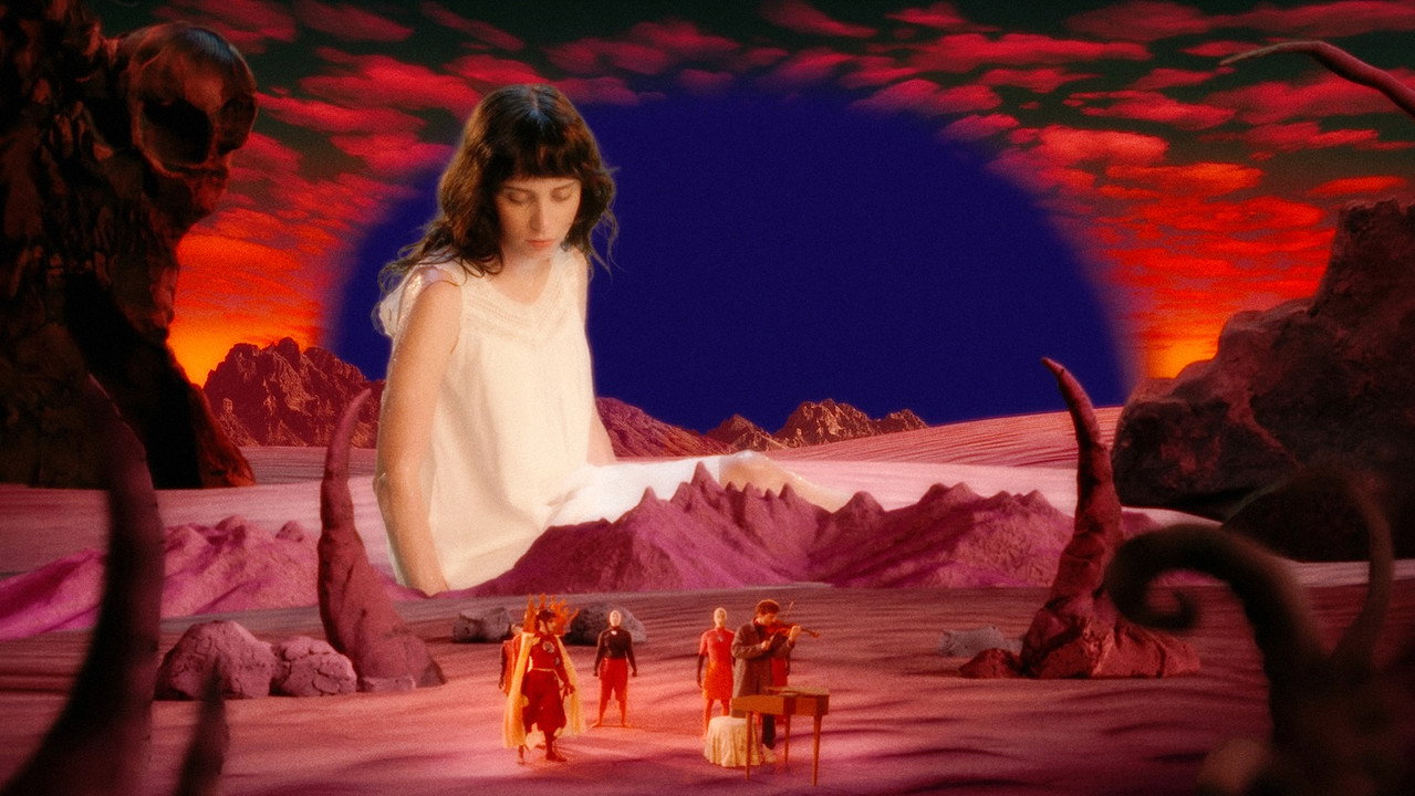 Imaginal Disk still 6