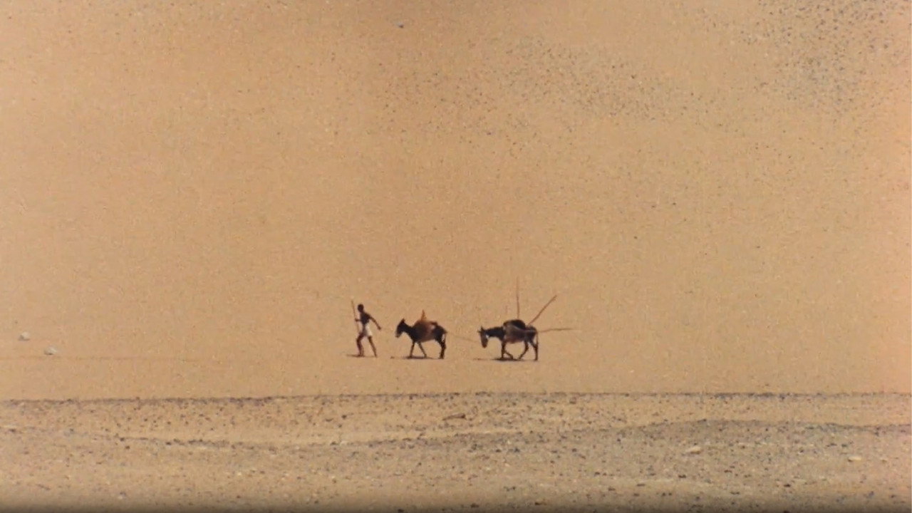 Fondo