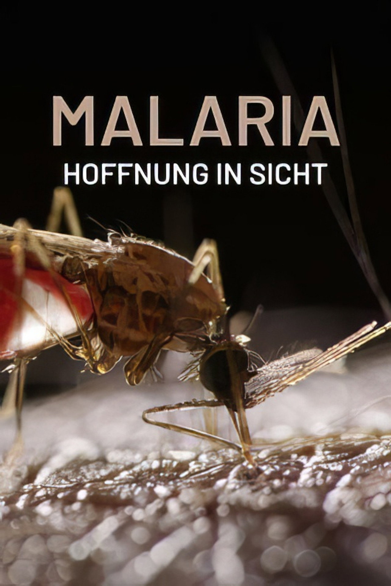 Malaria, Hoffnung in Sicht filmaffisch