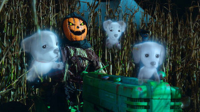 Image Cachorros fantasmas