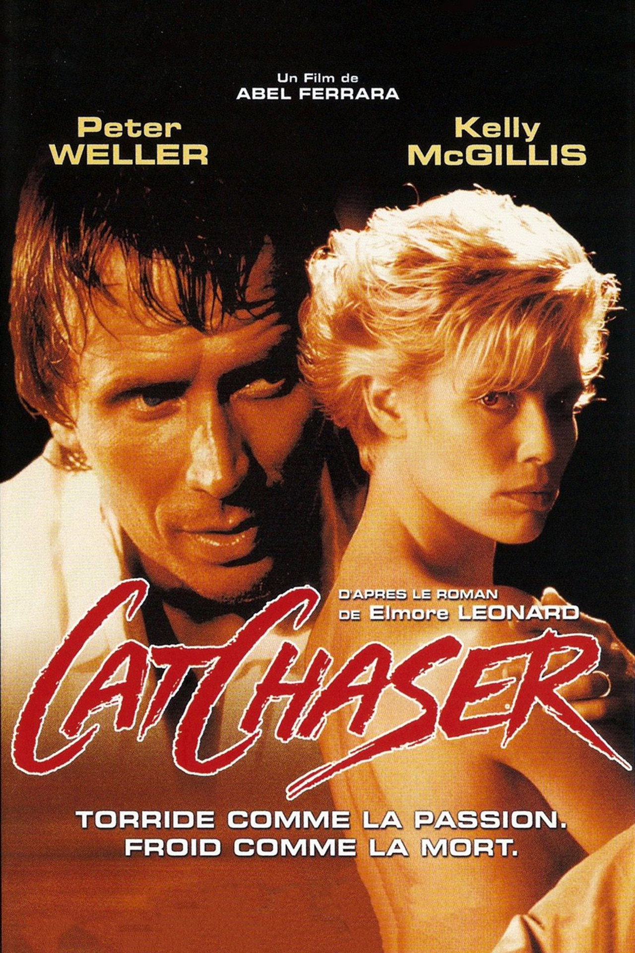 Cat Chaser