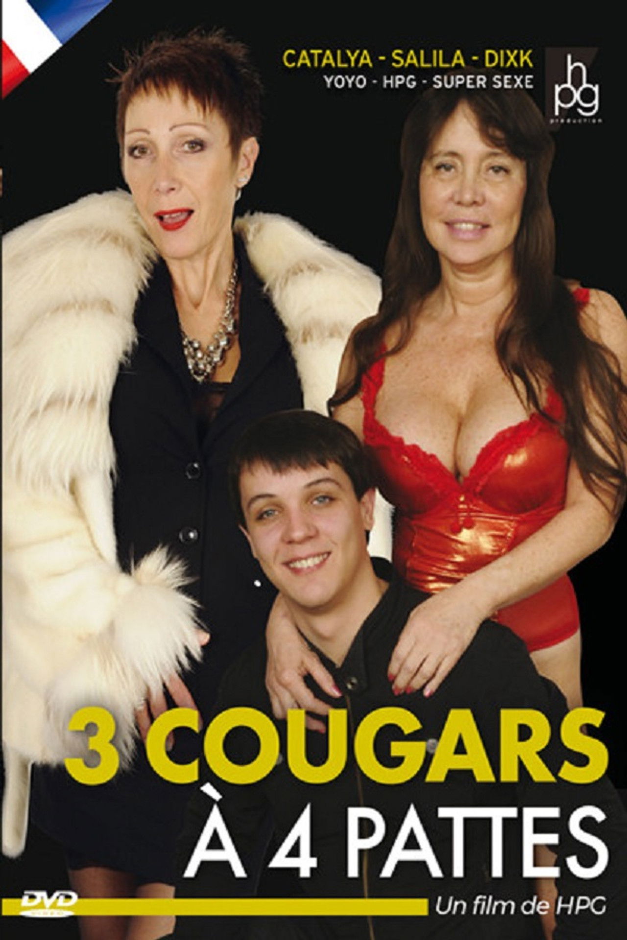 3 Cougars à 4 Pattes Backdrop