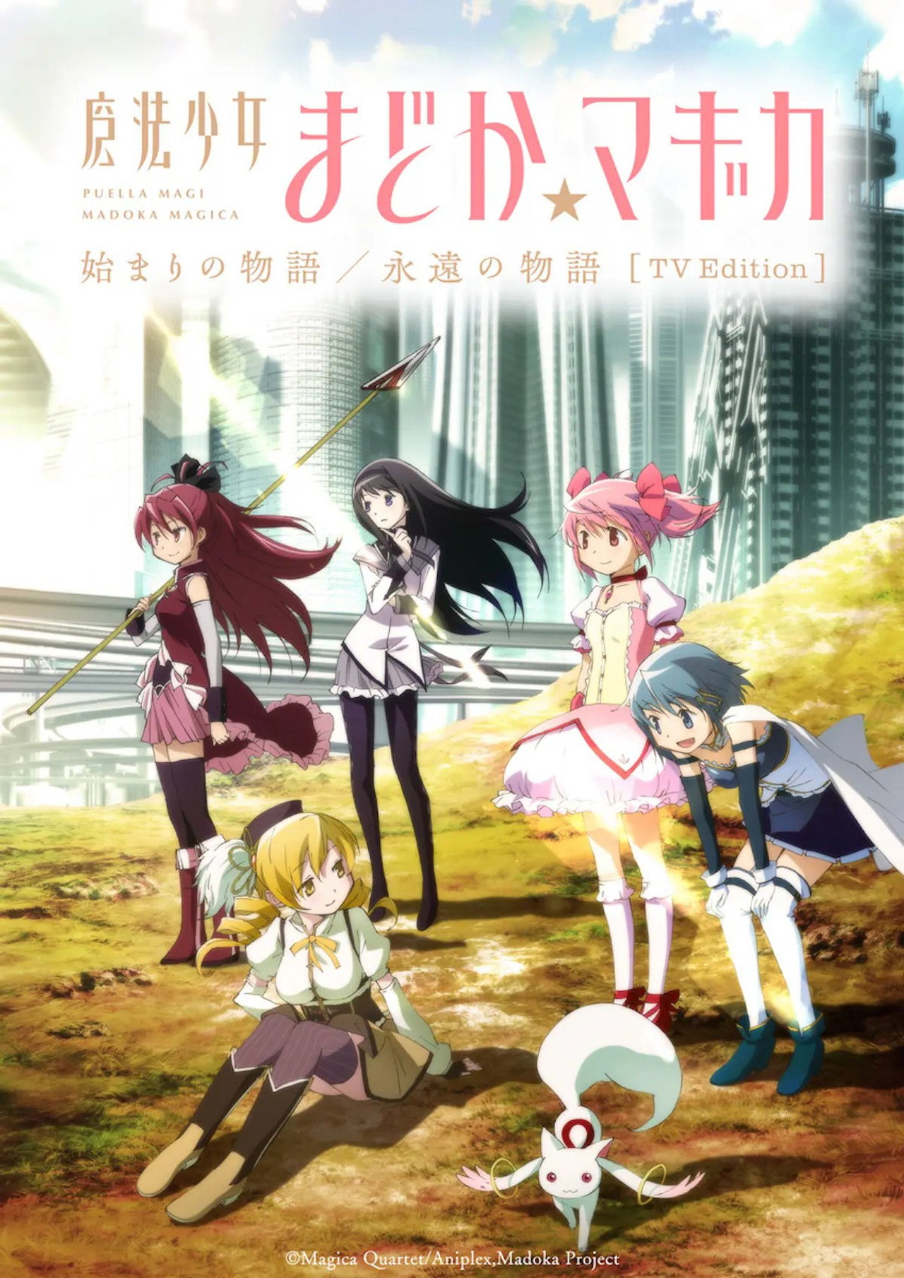 魔法少女まどか☆マギカ 始まりの物語／永遠の物語 TV Edition poster