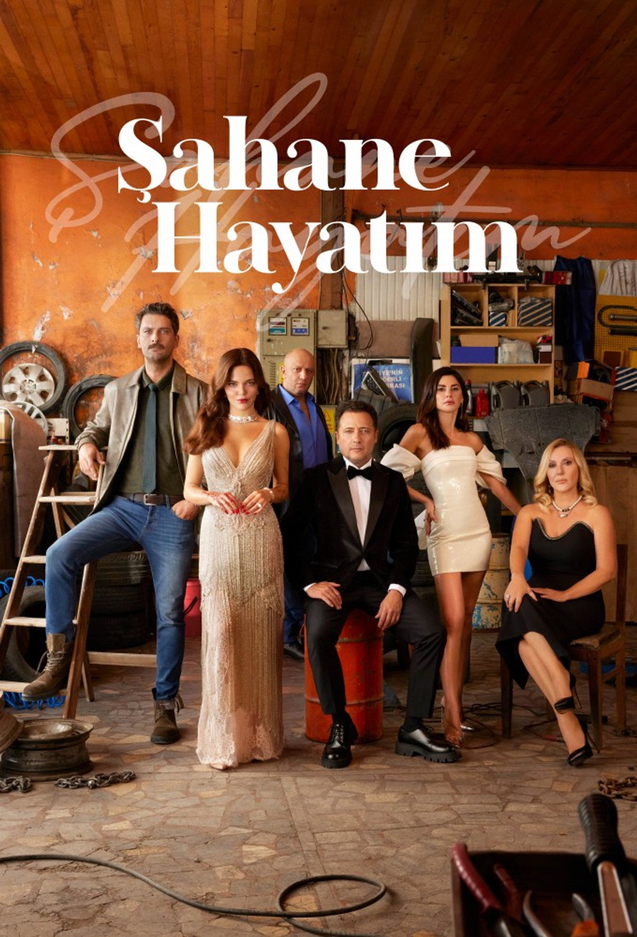 Şahane Hayatım Poster