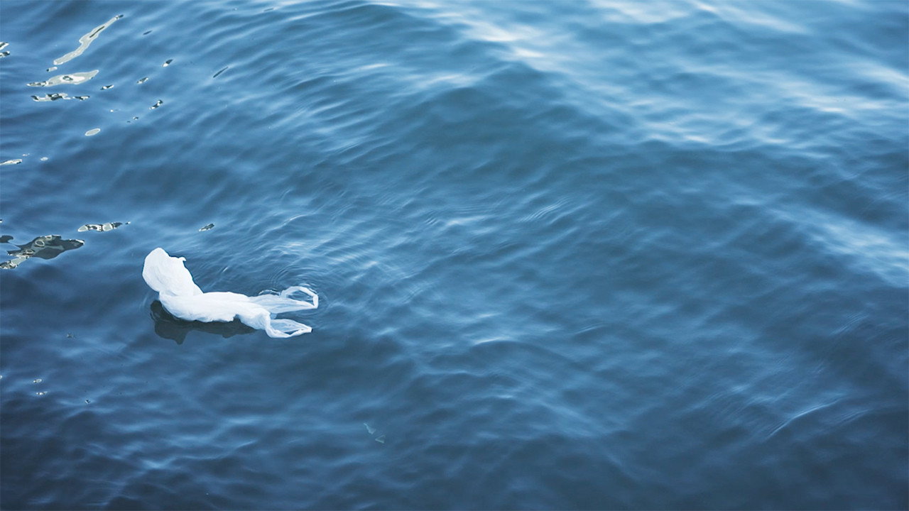 Immagine di copertina del trailer di Hidden Tides