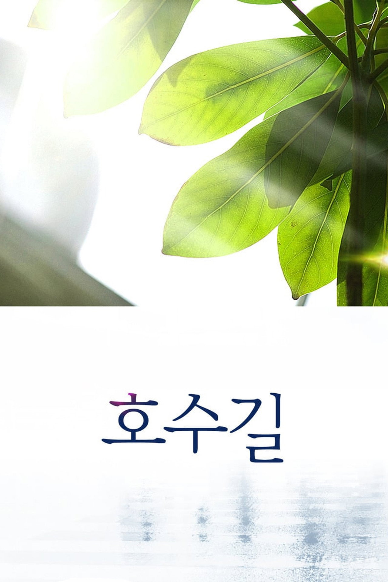 호수길 filmaffisch