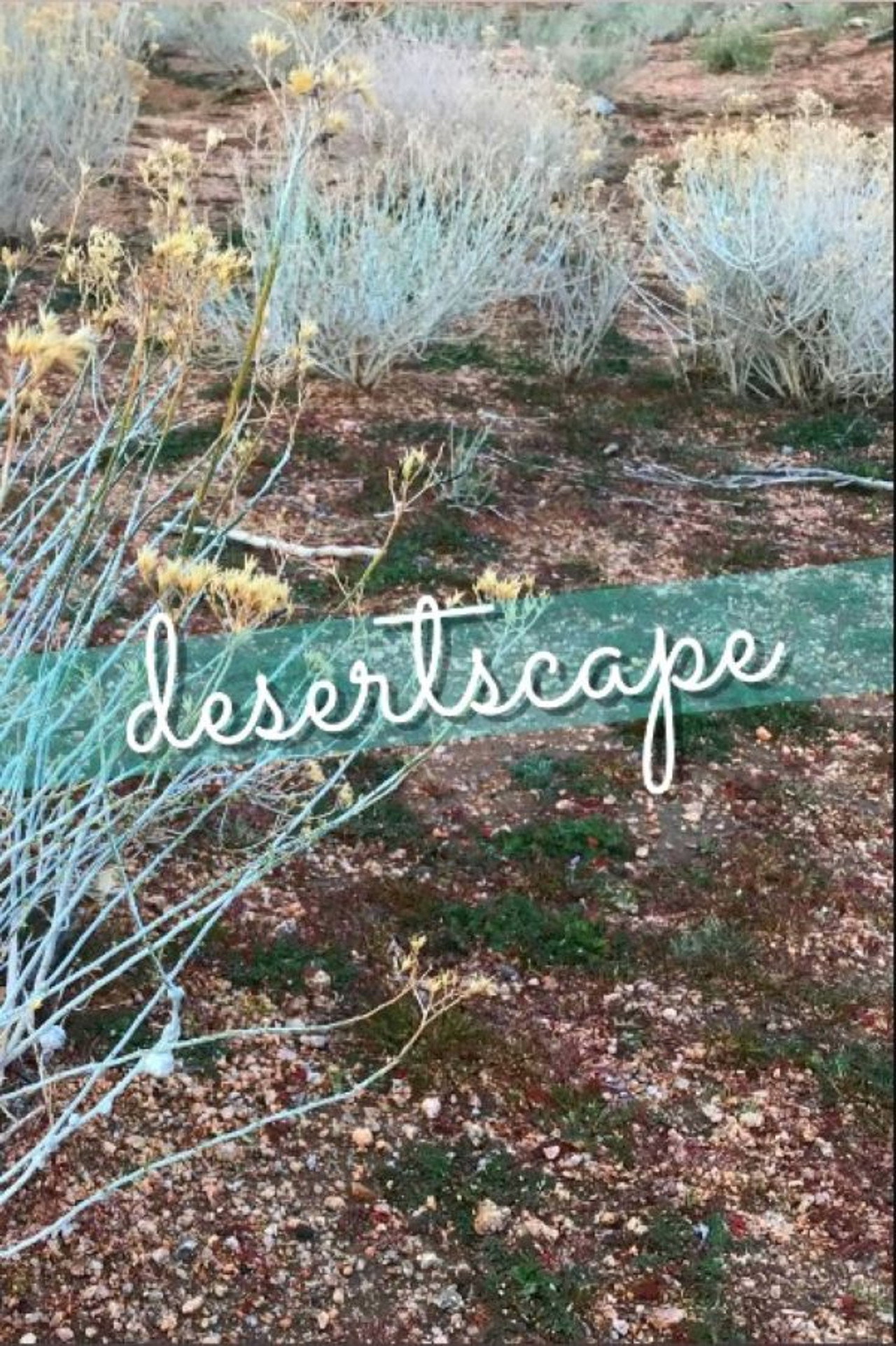 Desertscape (2023)
