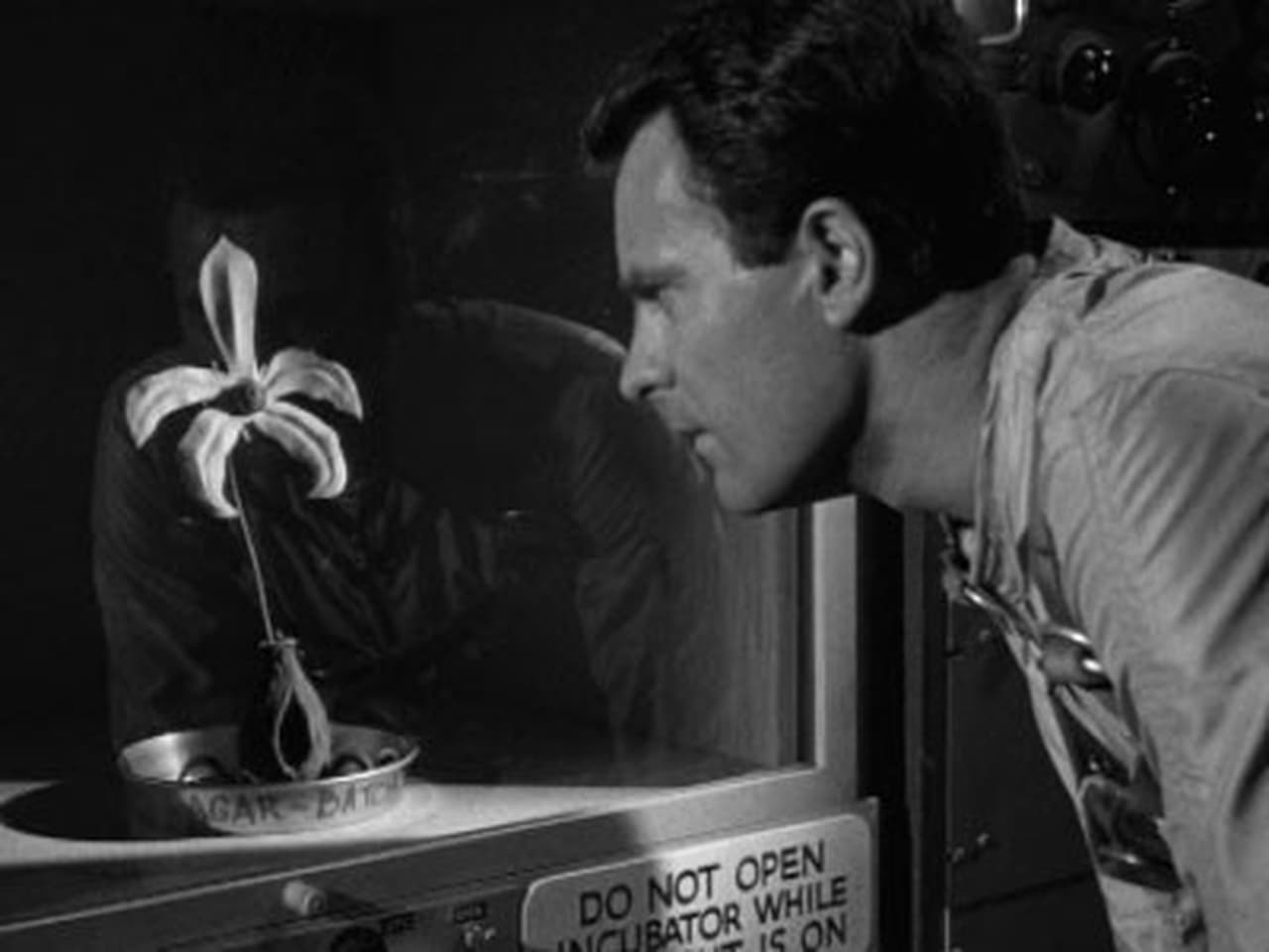 The Outer Limits - Season 1 Episode 22 : Specimen: Unknown