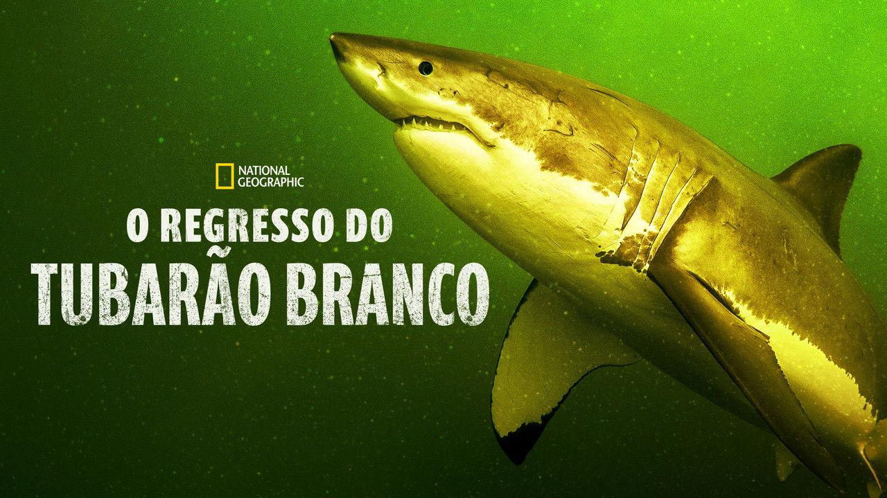 Return of the White Shark backdrop