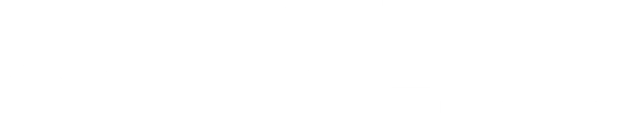 The Witness