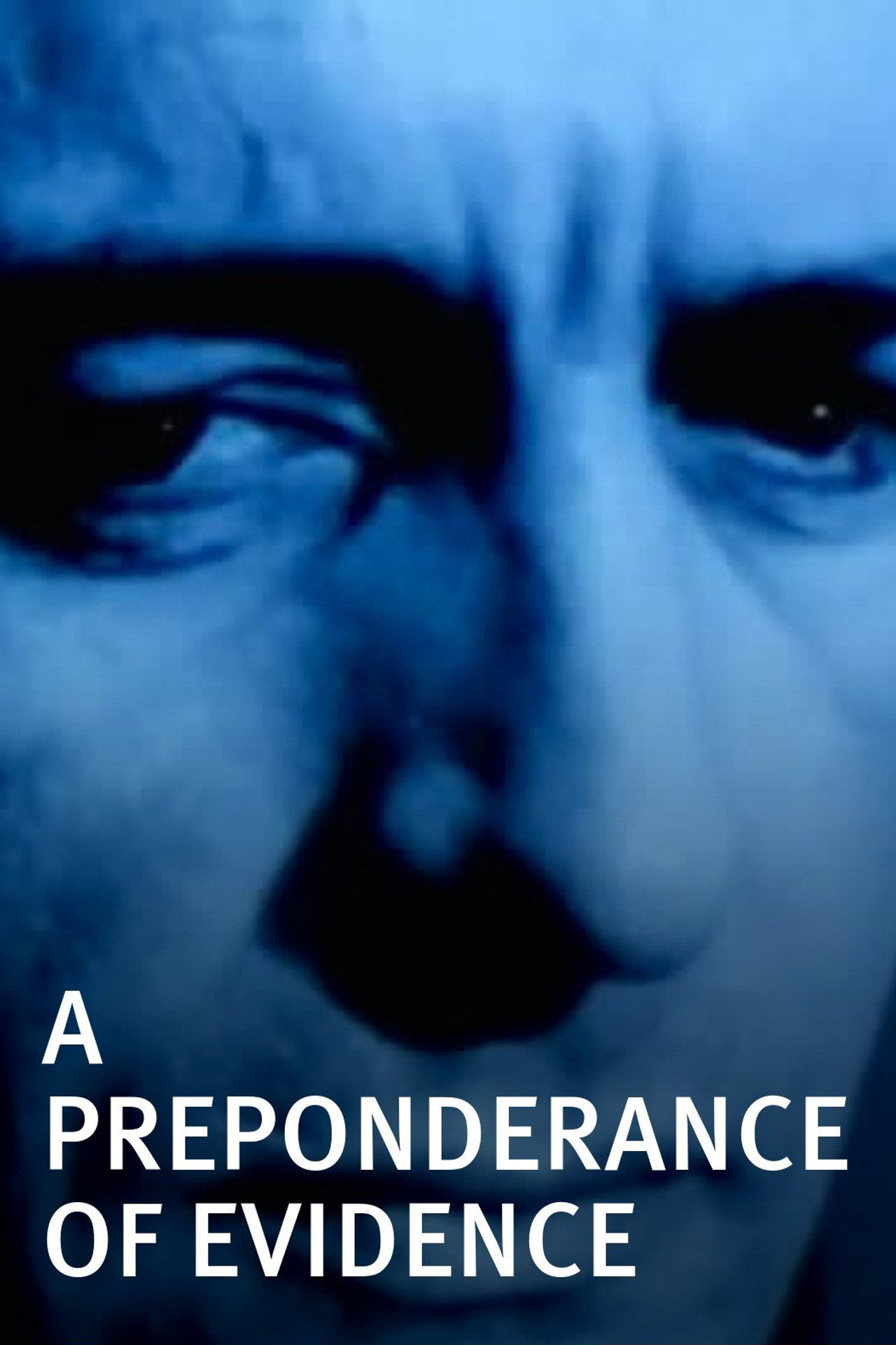 A Preponderance of Evidence filmaffisch