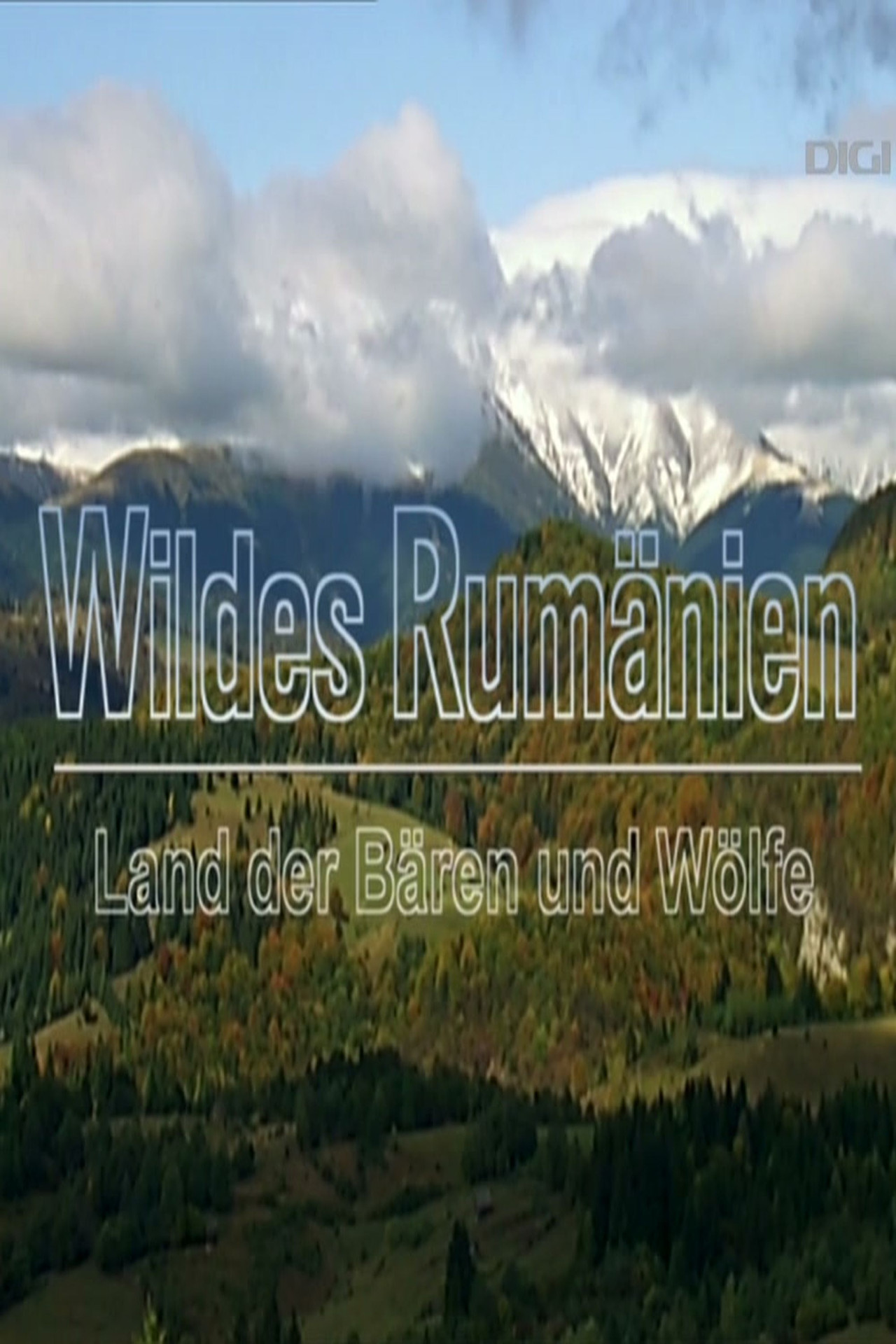 Wild Romania - Land of Bears and Wolves Backdrop