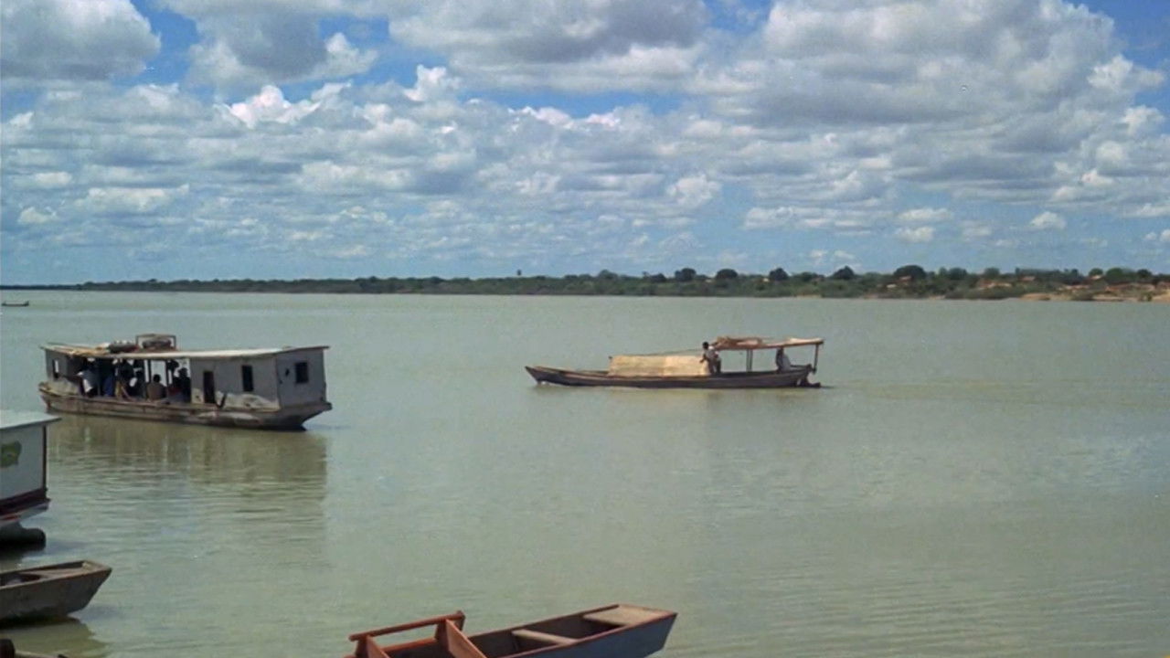 Medi São Francisco backdrop