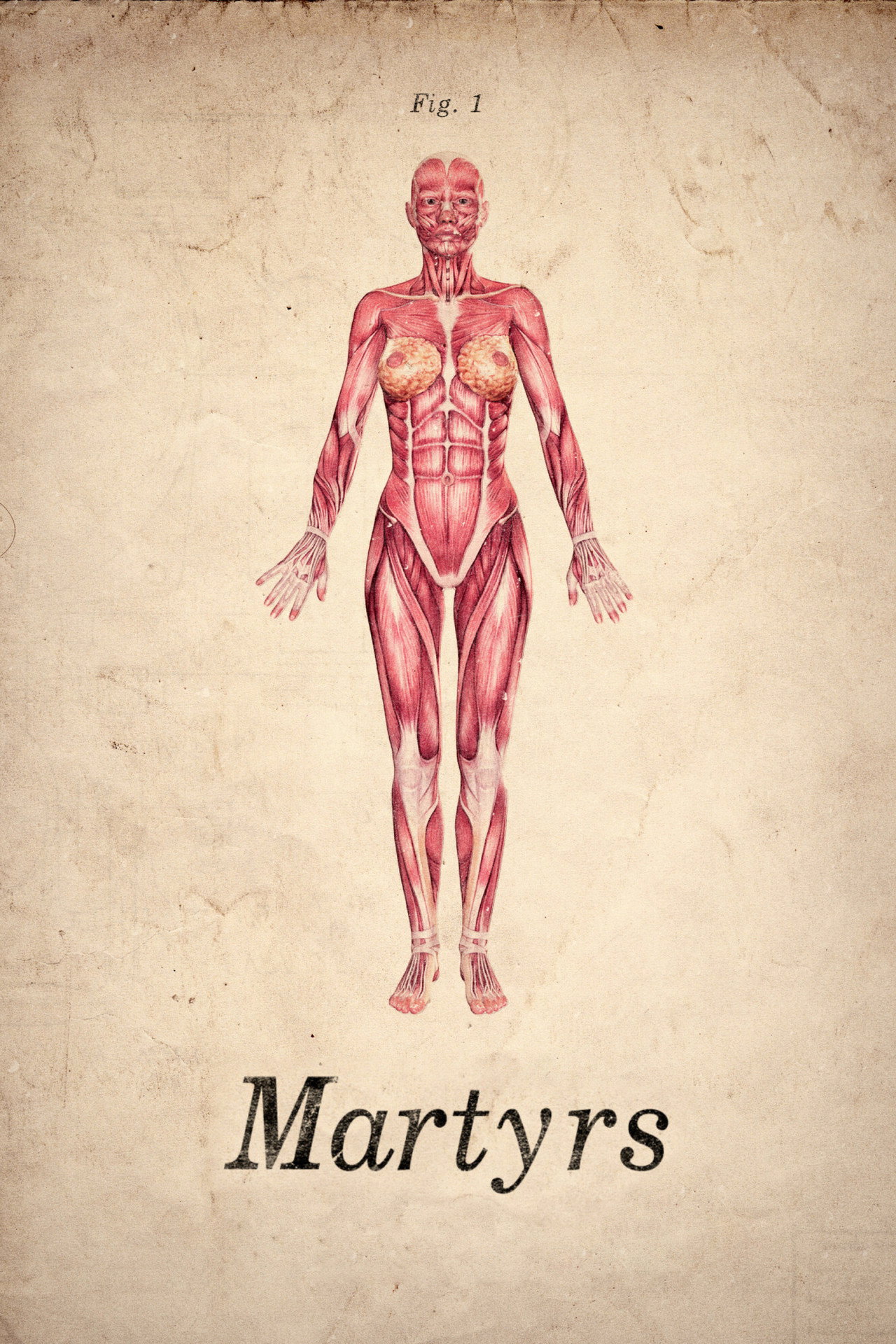 posters 10