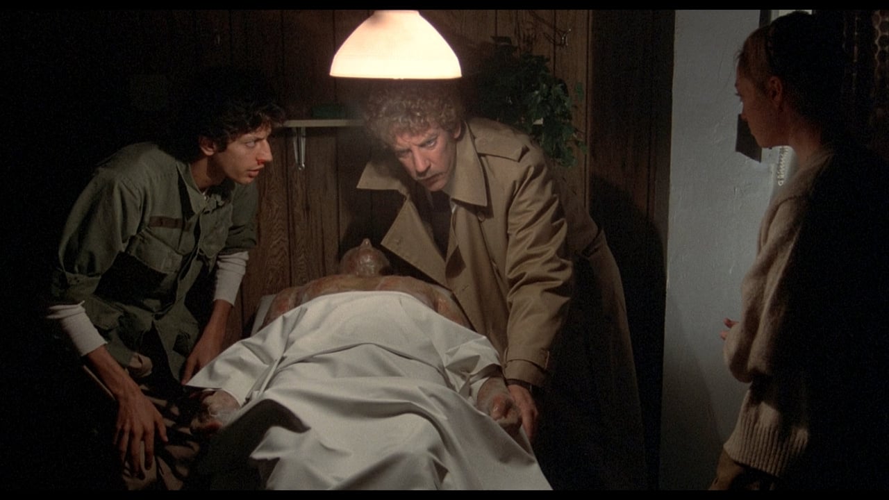 Invasion of the Body Snatchers (1978)